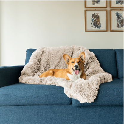 LUXPETS | CozyCouch Hundbädd för Soffan