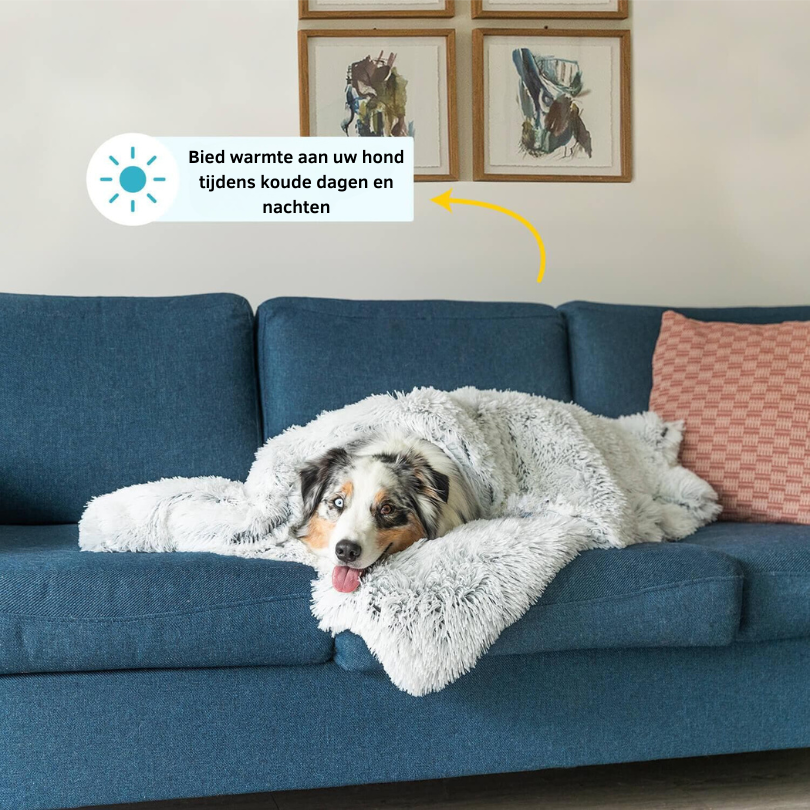 LUXPETS | CozyCouch Hundbädd för Soffan