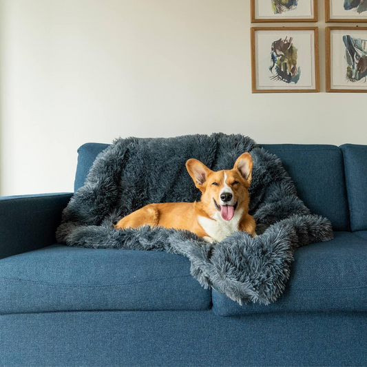 LUXPETS | CozyCouch Hundbädd för Soffan