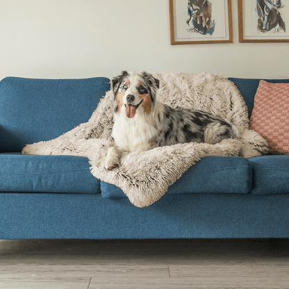 LUXPETS | CozyCouch Hundbädd för Soffan